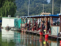 오빈낚시터 유료낚시터 > ****연휴기간 대박조황**** : 낚시사랑