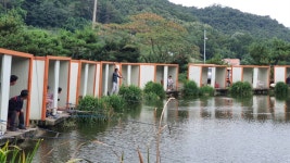 즐거운복상골 유료낚시터 > 가을이 익어 갑니다~~~ : 낚시사랑