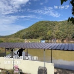 양평그린낚시터 유료낚시터 > 양평 그린낚시터 10/12~10/14 조황 정보 및 방류 소식 : 낚시사랑