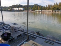 안성 거청낚시터 유료낚시터 > 10월 16일 거청낚시터 붕어전용터 조황안내 : 낚시사랑