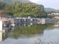 고초골낚시터 유료낚시터 > 고초골 주말조황 및 어자원방류상황 : 낚시사랑
