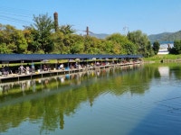 삼하낚시터 유료낚시터 > ## 주말방류안내 ## : 낚시사랑