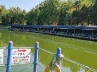 삼하낚시터 유료낚시터 > ## 주말방류안내 ## : 낚시사랑