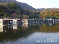 고초골낚시터 유료낚시터 > 고초골 주말조황 및 어자원방류상황 : 낚시사랑