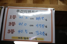 유료터정보 > 유료터점주조황 > *** 4짜가 많이 나왔네요 ***