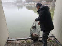 안성 거청낚시터 유료낚시터 > 10월 28일 거청낚시터 붕어전용터 조황안내 : 낚시사랑 안성 거청낚시터 유료낚시터 > 10월 28일 거청낚시터... 