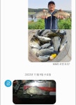 성호낚시터 유료낚시터 > 이천성호낚시터 11월9일 조황정보. : 낚시사랑