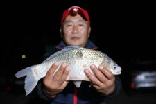 내동지 유료낚시터 > *** 이보다 더 좋을 순 없다 *** : 낚시사랑