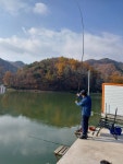 봉낚시터 유료낚시터 > 봉낚시터 주중조황및 방류소식 : 낚시사랑