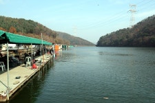 유정낚시터 유료낚시터 > 2022 / 11 / 12 토요일 향어 대량방류했습니다. : 낚시사랑