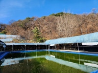 헤라낚시터 유료낚시터 > 무지개 송어 개장!!! : 낚시사랑