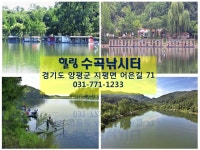 양평수곡낚시터 유료낚시터 > 양평 수곡낚시터 좌대할인 및 주간 대물붕어 시상 / 대호만 토종붕어 대량방류 : 낚시사랑