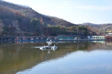 상덕낚시터 유료낚시터 > [상덕낚시터] 10월 3주차 이야기 - 용인 상덕 : 낚시사랑