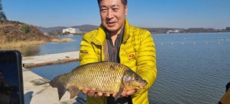 장흥낚시터(강화) 유료낚시터 > 대물터로 소문난 강화장흥낚시터 토종붕어 소식입니다. : 낚시사랑