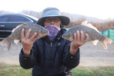 내동지 유료낚시터 > *** 4짜 900번째 조사님을 찾습니다. *** : 낚시사랑