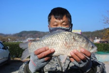 내동지 유료낚시터 > *** 4짜 900번째 조사님을 찾습니다. *** : 낚시사랑
