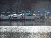 오빈낚시터 유료낚시터 > ~~~꽝도없고 대박도없는 평등한 조황~~~ : 낚시사랑