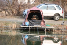 유료터정보 > 유료터점주조황 > *** 신 기 록 ***