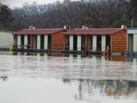 오빈낚시터 유료낚시터 > *****주말조황 정보및 방류소식 전합니다***** : 낚시사랑