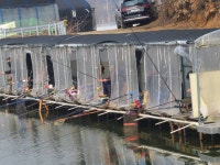 남전지기 유료낚시터 > 주말조황 및 방류소식 : 낚시사랑