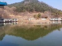 도장골낚시터 유료낚시터 > 가평 도장골낚시터 3월4일 개장소식!!! : 낚시사랑