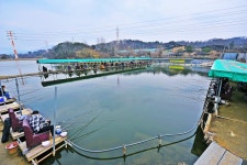 하남 고골낚시터 유료낚시터 > 고골낚시터 개장 소식 : 낚시사랑
