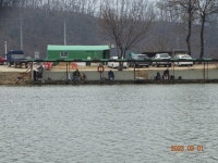 오빈낚시터 유료낚시터 > ~~~아주좋은 조황 보이고 있으며 찌올림 좋습니다~~~ : 낚시사랑