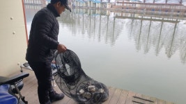 안성 거청낚시터 유료낚시터 > 2023년 3월 4일 거청낚시터 붕어조황 : 낚시사랑 안성 거청낚시터 유료낚시터 > 2023년 3월  4일 거청낚시터... 