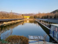 삼하낚시터 유료낚시터 > ## 하우스조황및 물낚시개장안내 ## : 낚시사랑