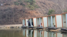즐거운복상골 유료낚시터 > 향어 방류 시작했습니다~~~ : 낚시사랑