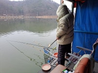 큰골낚시터 유료낚시터 > 안녕하세요. 큰골입니다~~~ : 낚시사랑