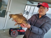 송전집좌대 유료낚시터 > 송전지 송전 좌대(송전집) 조황정보 - 연일 사짜 퍼레이드~~ : 낚시사랑