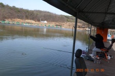 고담낚시터 유료낚시터 > 요번주 금 . 토 붕어 1톤 방류 : 낚시사랑