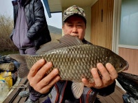 미성좌대 유료낚시터 > 송전지 미성좌대 조황정보 : 낚시사랑