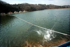 한터낚시터. 유료낚시터 > 한터 낚시터 2023년 3월18일(토요일) 붕어 향어 대량 방류했습니다. : 낚시사랑