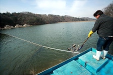 한터낚시터. 유료낚시터 > 한터 낚시터 2023년 3월18일(토요일) 붕어 향어 대량 방류했습니다. : 낚시사랑