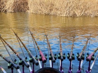 고삼지 양촌 유료낚시터 > 고삼저수지 기온 상승!! 조황 상승!! : 낚시사랑