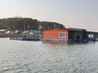 성호낚시터 유료낚시터 > 조황정보 이천 성호낚시터 : 낚시사랑