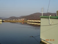 오빈낚시터 유료낚시터 > ~~~꾸준한 조황 보이고 있습니다~~~ : 낚시사랑