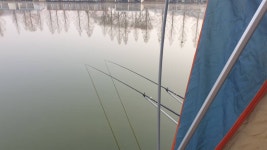 유료터정보 > 유료터점주조황 > 3월 28일 안성 거청낚시터 붕어조황 유료터정보 > 유료터점주조황 > 3월 28일 안성 거청낚시터  붕어조황