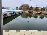 진우낚시터 유료낚시터 > 조황이 살아나고 있는 진우지 : 낚시사랑