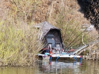 고삼지 양촌 유료낚시터 > 고삼지 양촌좌대 조황입니다. : 낚시사랑