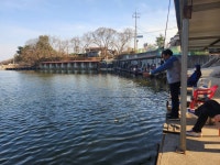 동교낚시터 유료낚시터 > 포천동교낚시터입니다 : 낚시사랑