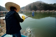 한터낚시터. 유료낚시터 > 한터 낚시터 2022년 4월 1일(토요일) 붕어 향어 대량방류 했습니다. : 낚시사랑
