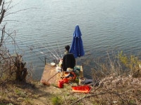 칠곡낚시터 유료낚시터 > 깜짝 낚시대회를 마치고 4짜붕어 대량방류 : 낚시사랑