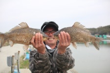 내동지 유료낚시터 > *** 오전, 오후 4짜 들이붓다 *** : 낚시사랑