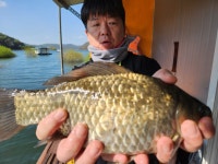 서울좌대 유료낚시터 > 송전지서울좌대4월9일조황 : 낚시사랑