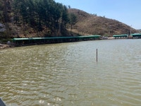 양평-대명낚시터 유료낚시터 > 대명낚시터 개장일날 보고합니다. : 낚시사랑