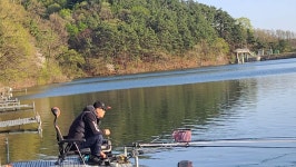 양평수곡낚시터 유료낚시터 > 봄시즌 힐링 수곡낚시터 4월 둘째주말 조황 및 방류안내 : 낚시사랑
