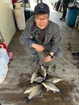 고삼지 양촌 유료낚시터 > 고삼지 사짜붕어 45cm !! : 낚시사랑